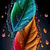 万能看片